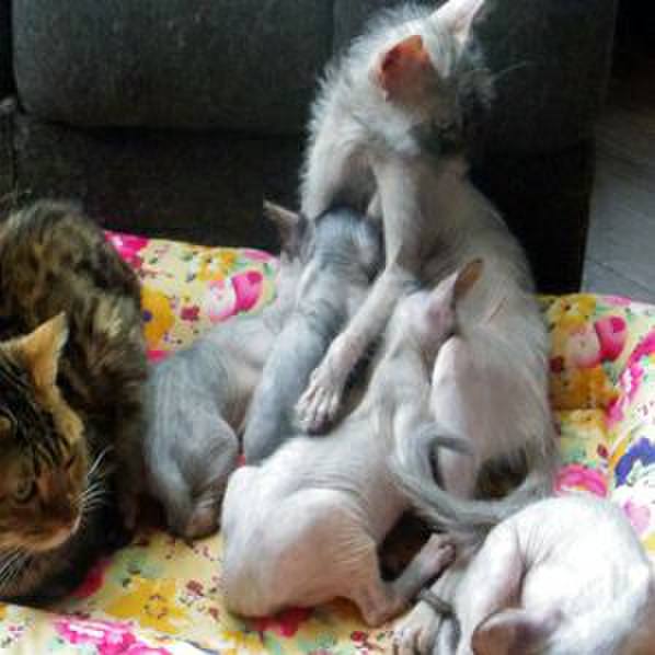 0477a70e d1d8 4463 8820 d3c1bad13067