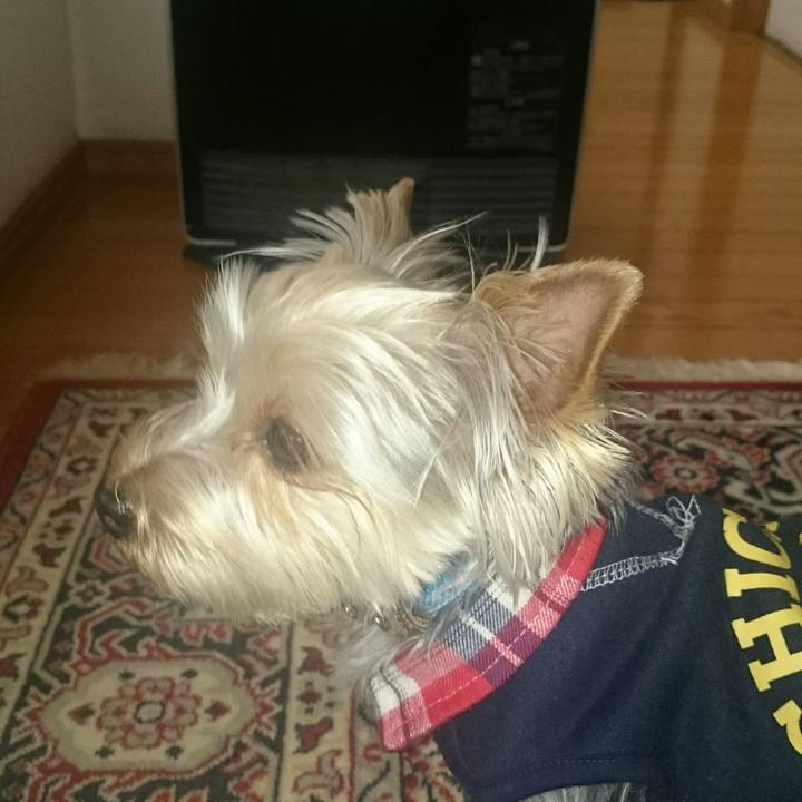 04780c2b bd27 44e2 92e6 adbbe953d9f3