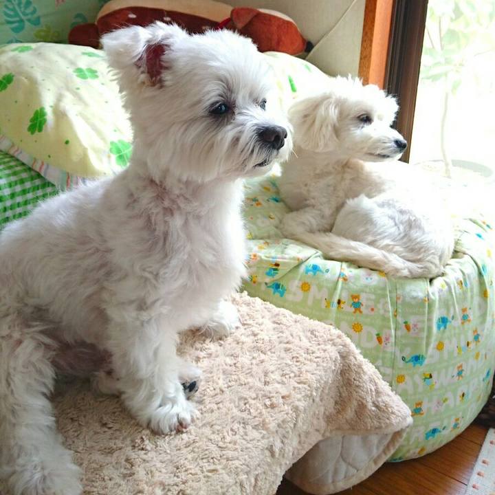 0478d6aa 9526 4e8e bfcf dce395bfee5a