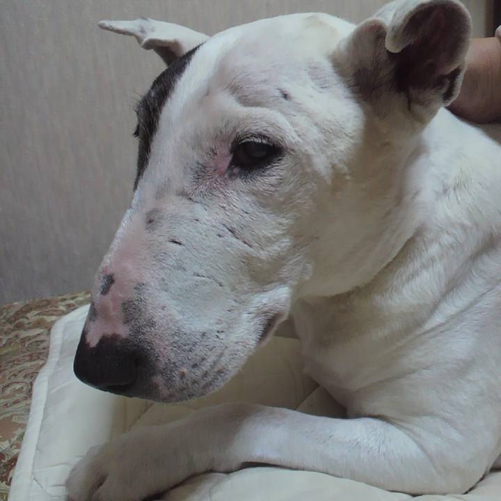 04791044 5905 4c43 b526 cad0c03e73e2