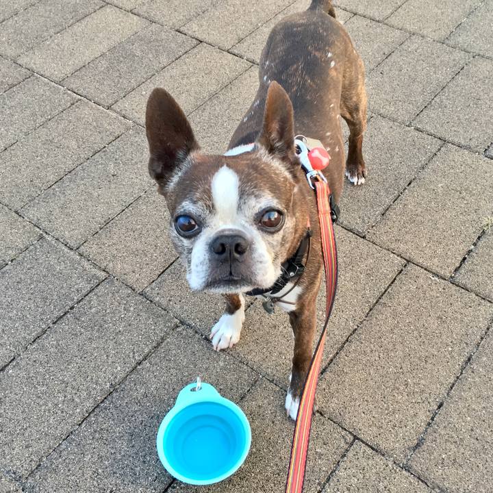 047a1f47 dc49 4b74 9c90 b566422e4de1