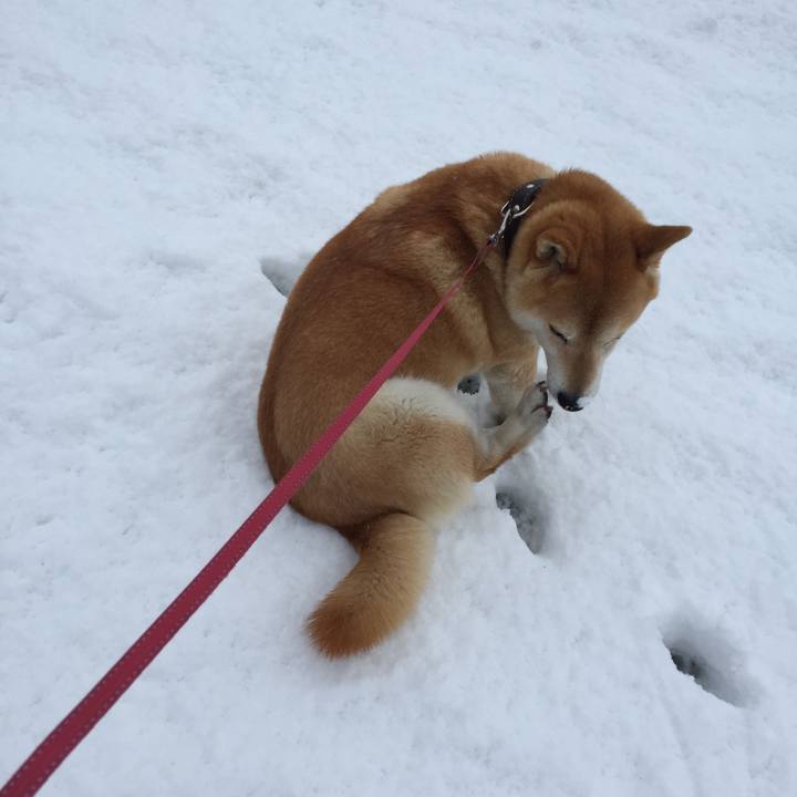 047ae45f 98c4 4ba3 ba31 4eb469cbdb6d