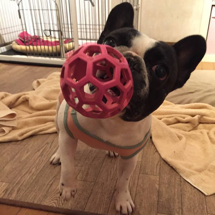 047b1a26 aa52 4bd2 b8b2 c54cc499d391