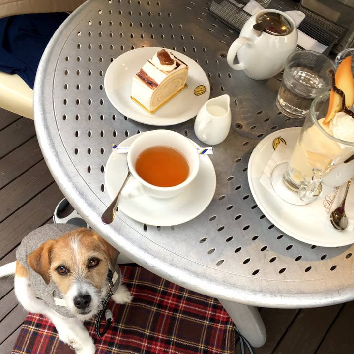 047b3ea3 aab5 4d98 ad37 0dae581ea783