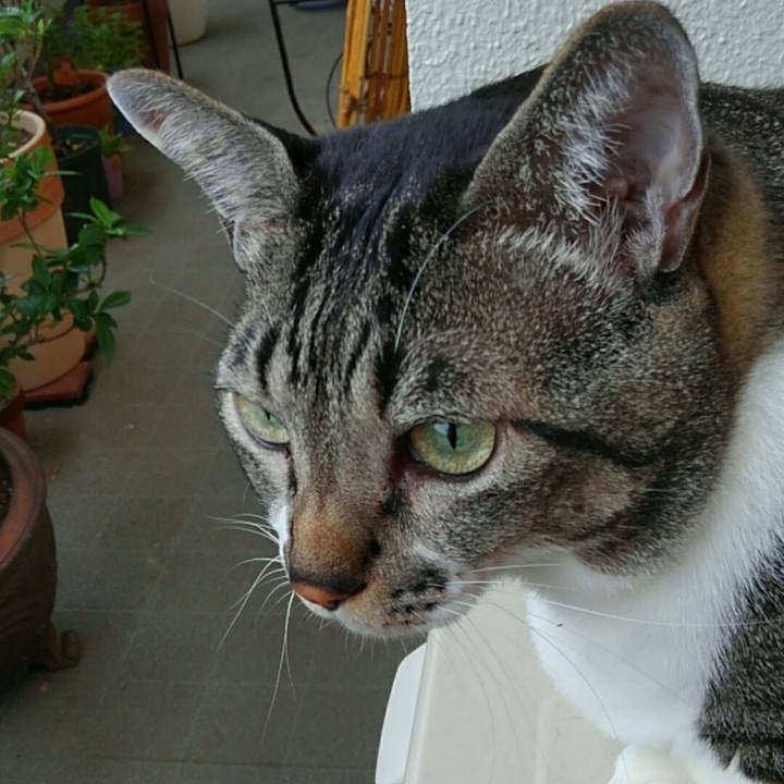 047b3f98 b32a 4005 8ec6 7d88641bb8ba