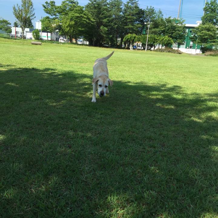 047b9af7 539b 4eeb 85fc 1377026475cc