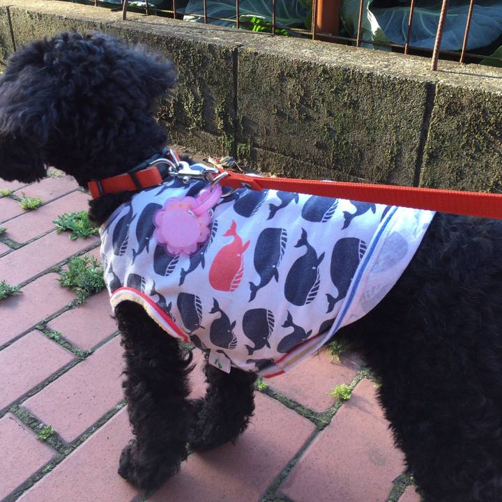 047bb634 faa9 4847 a20a 0274934172fd