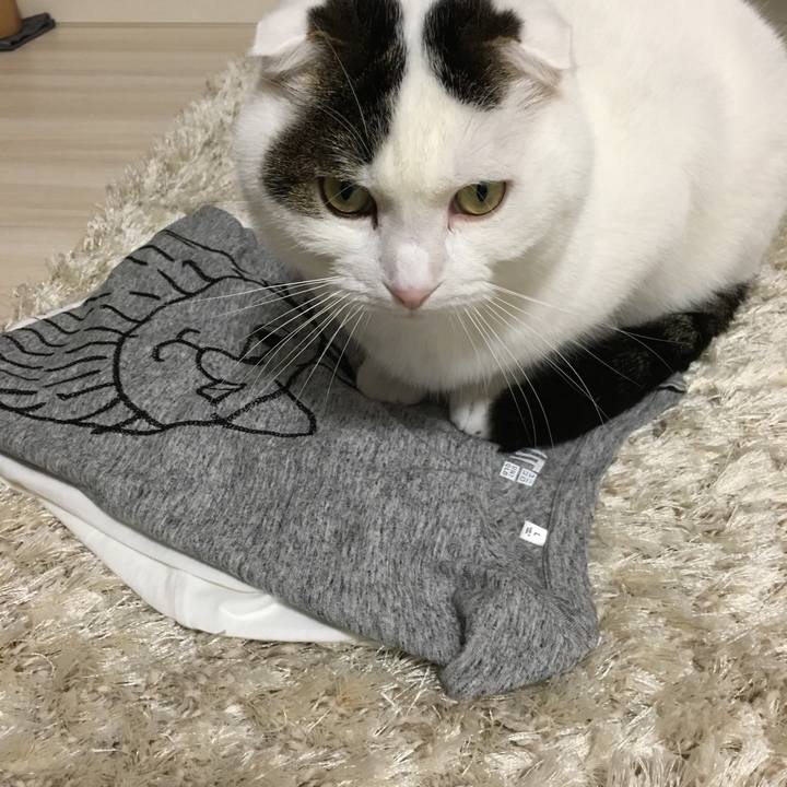 047c2242 6ea7 4fcb b96a 97d595aa0c59