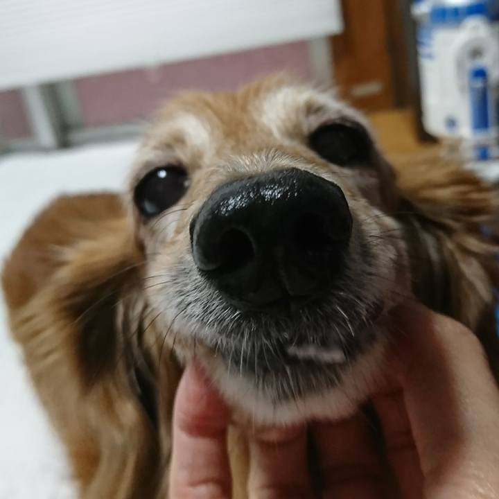 047c7a33 3509 48d3 bdbe 253889bf92ba