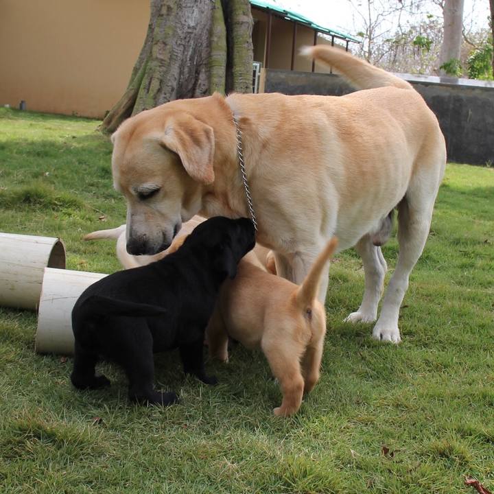 047c968c 8151 4f11 8fa6 2dc302fb75cd