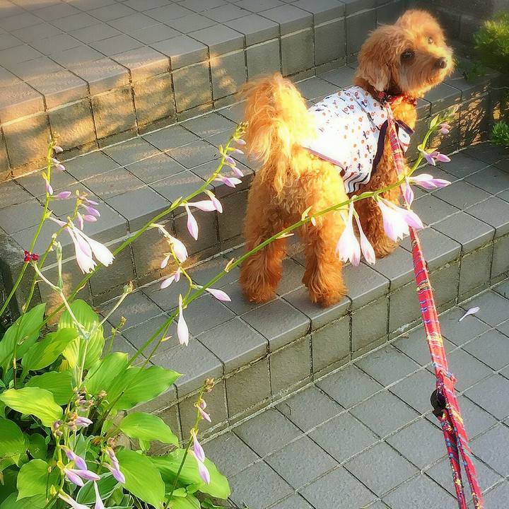 047cb077 fdc0 4235 ad27 3c5c74604075