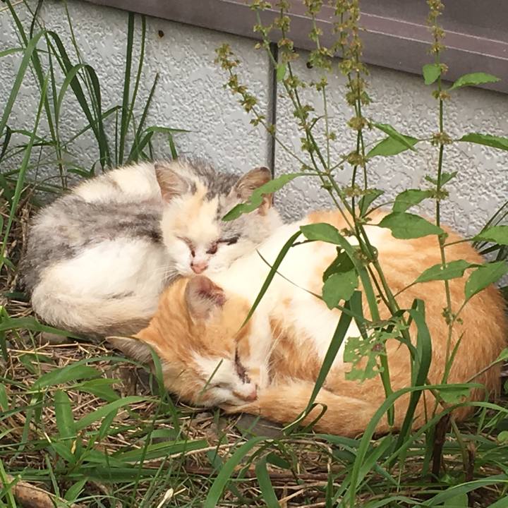 047ce9c6 230c 4677 a86c 2b4838de00e7