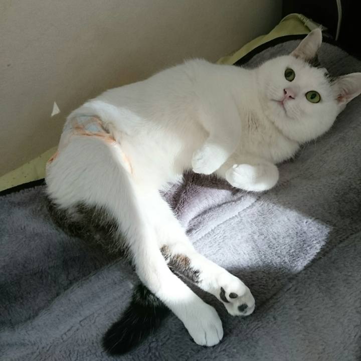 047d193e 4d46 40ce 809b b3219669ca5e