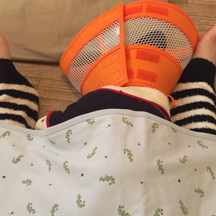 047d2e55 d4bd 48cc ab24 df61c83a4805