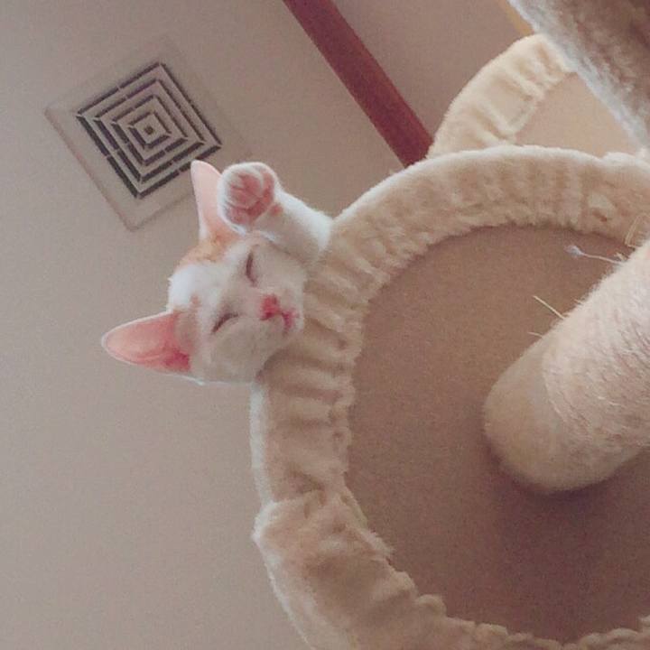 047d50f3 7994 45b7 a730 3a44b6fe4704