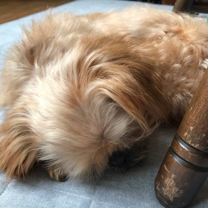 047dfa29 2610 4073 8799 11f5af1af386