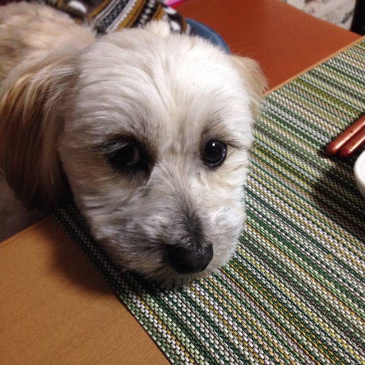 047e5bcc 35d4 45ca 8d9b f351383ed4e2