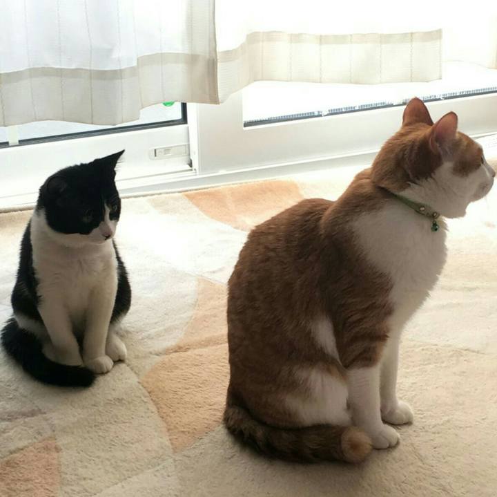 047eed0c 7a05 42bd a0b9 5e3c52e0dac6