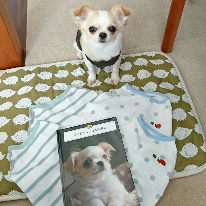 047fe187 58ee 4984 bf5c a02020afb150