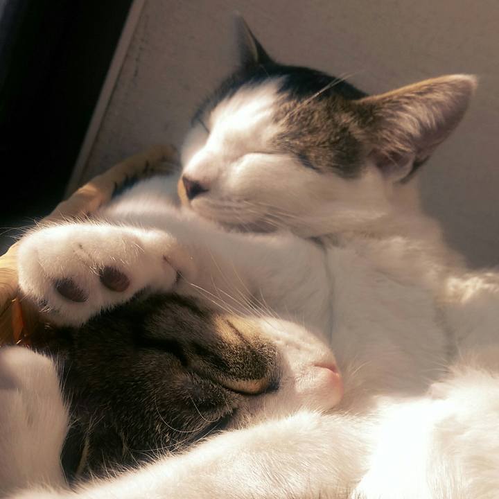 048143c4 d8c9 4217 ab42 2e9127fadf32