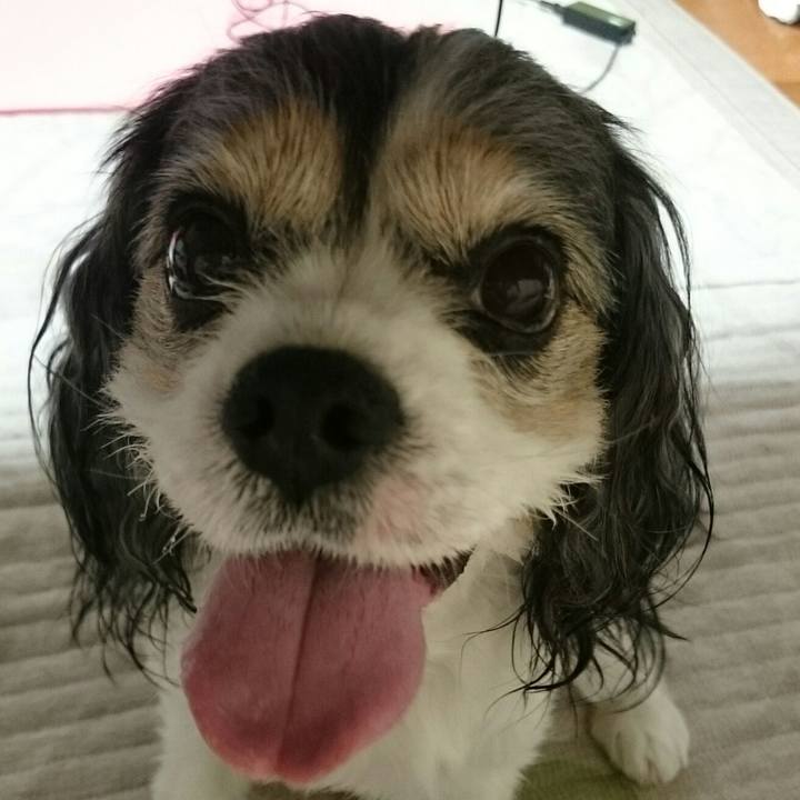 04819ea9 ef99 43ff 9c10 e67c076bb624