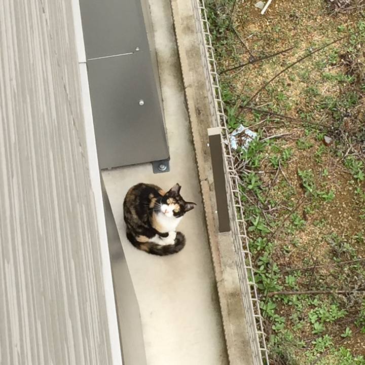 048212e7 fd5c 4c7e a31e f4d43971fca1