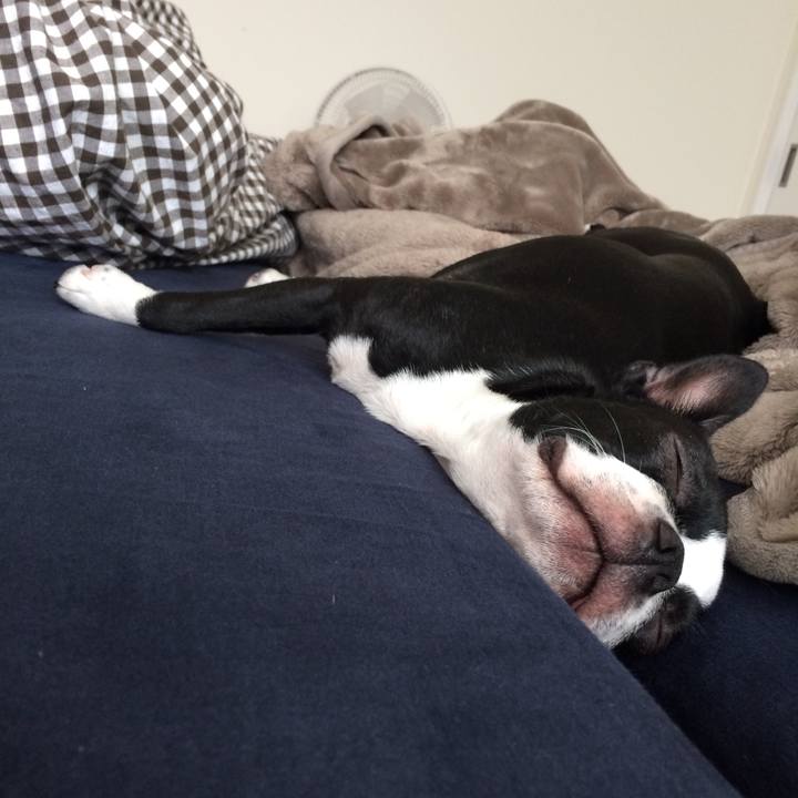 04826b73 3104 45cc baaa 17464d07afbe