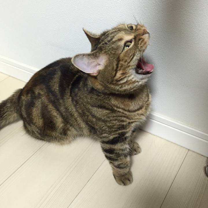 04827e33 bc36 414f bc9d fc774c2f1094