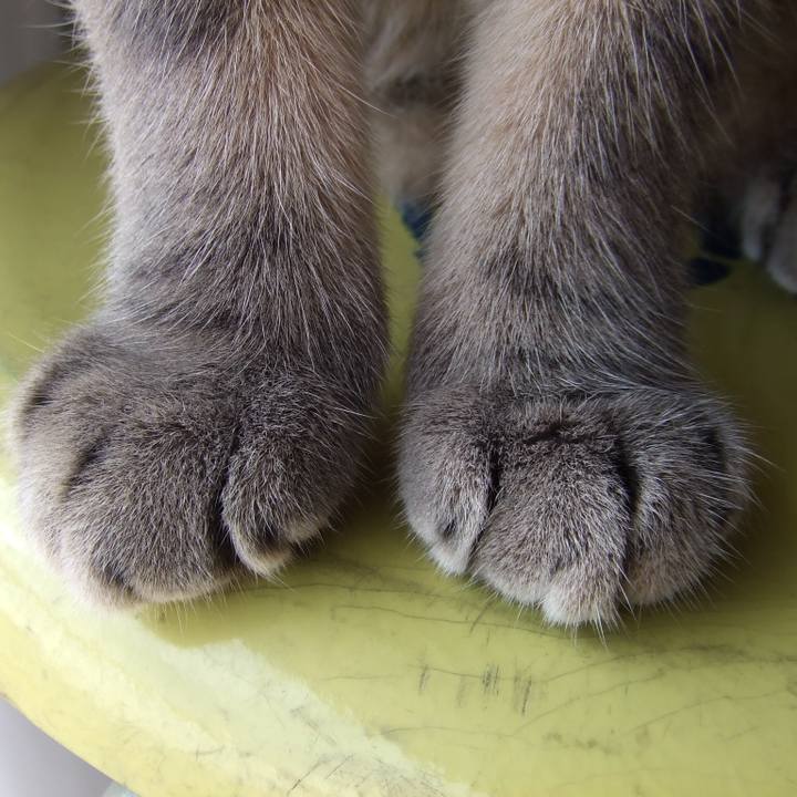 04833529 bcf2 475c bf0d f386c8b2a5dd