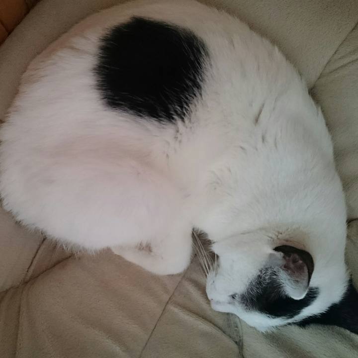 04833f5a 1ecb 425c 9084 902926de5981