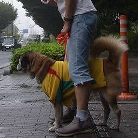 04835711 8ea7 4579 9901 f9754c5c6e4b