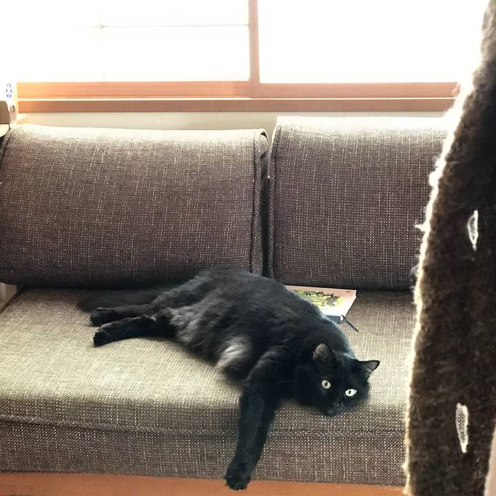 0483dc21 4783 454b 9974 8ec7e8be090b