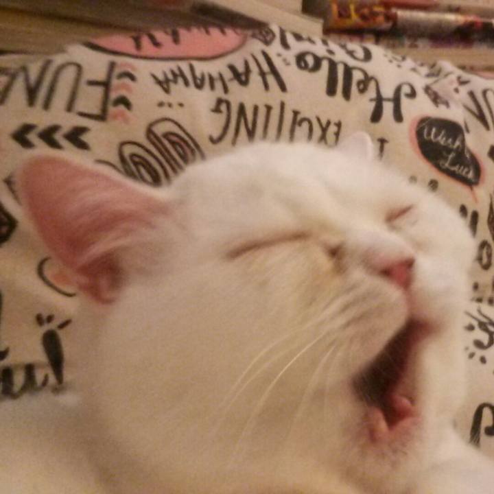 04840e50 be56 4f70 a663 460e8b55bf3b