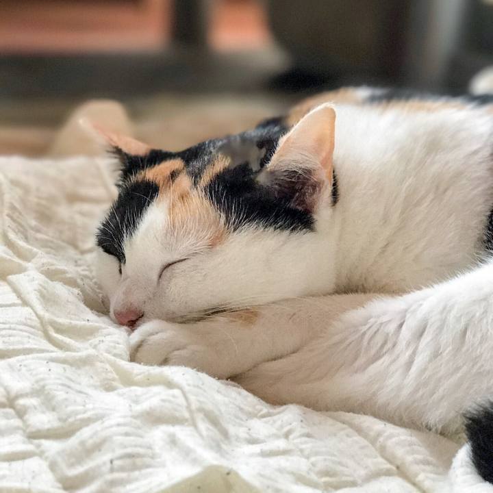 04843183 a47b 4f79 9546 2b8626c38a37