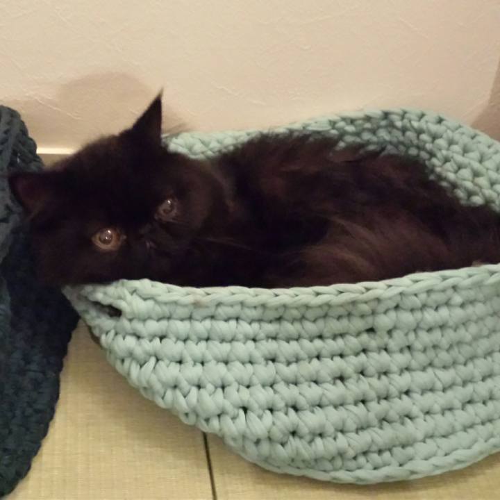 04860862 aeaf 4091 9258 393de1d4dc2a