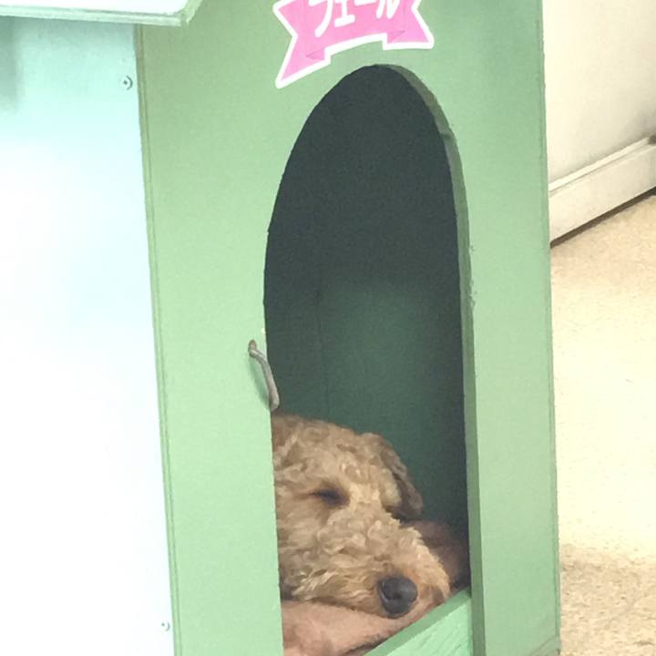 04865224 2b93 49c6 9d35 c90b5c92ec41