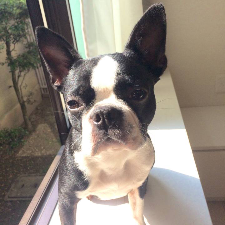 0486681e 2125 4088 b0ad cf58ccd38bf0