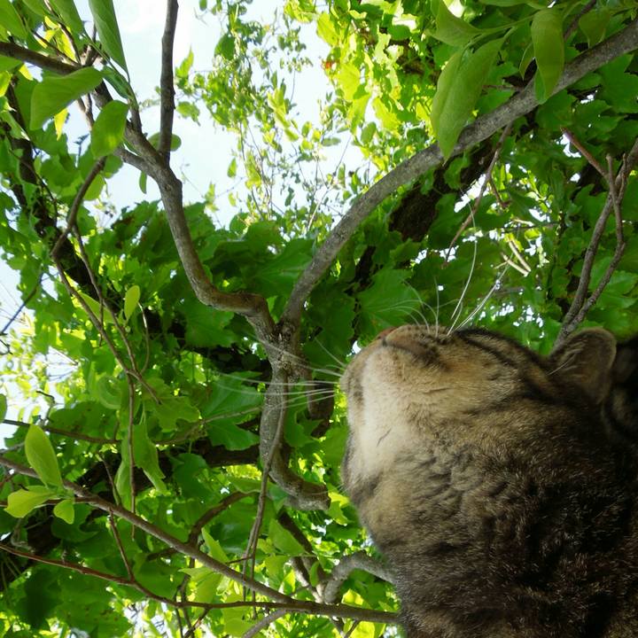 0486b19e f651 44a1 a410 c0e0b6867f12