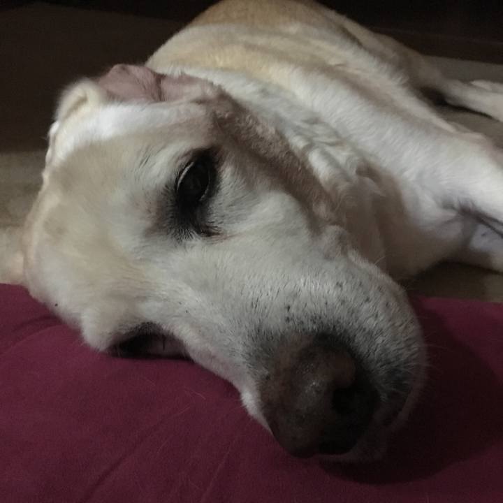 0486bfb7 2745 4619 abdb 5e5865bc8b0d