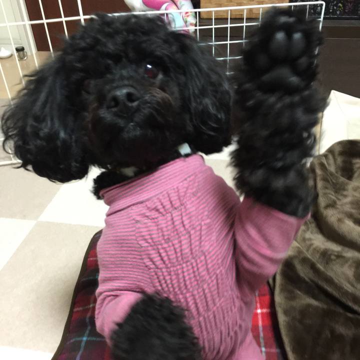 0486c95c bd55 4933 9b12 a8b0f58a7251