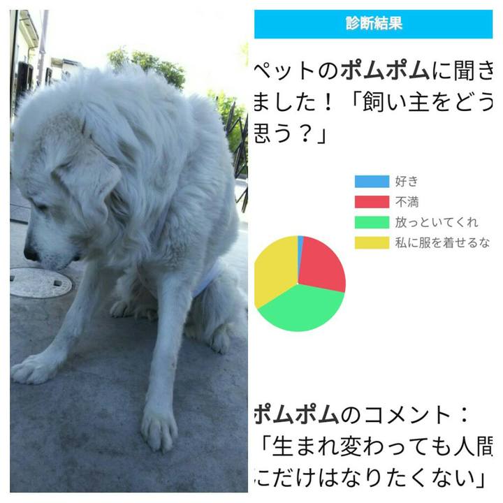 0487f871 a608 48e8 9a22 93b694b50456