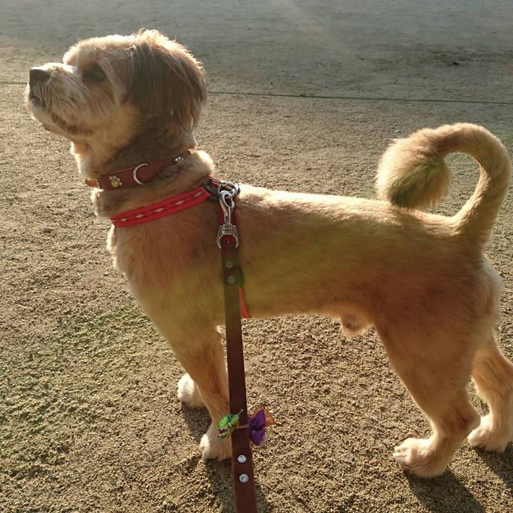 048822f1 00e5 419d 9b64 74b684ea2391