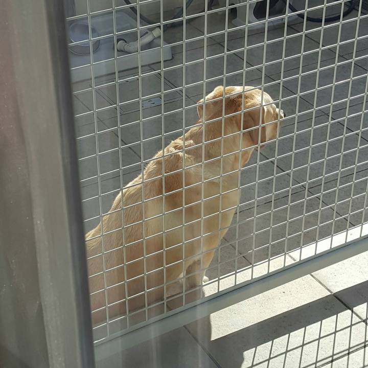 0488894a 8cc9 4cd6 8696 25b9d944dd43