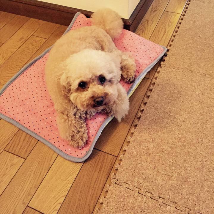 04889d26 b0f2 441d ba54 6753af54dccc