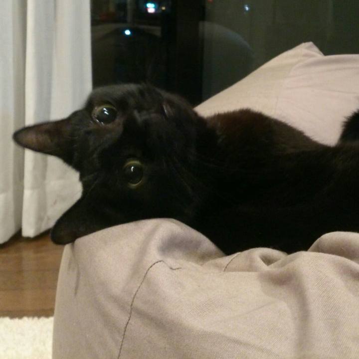 0488c152 c7ba 4776 833f 9aaa596f50a3