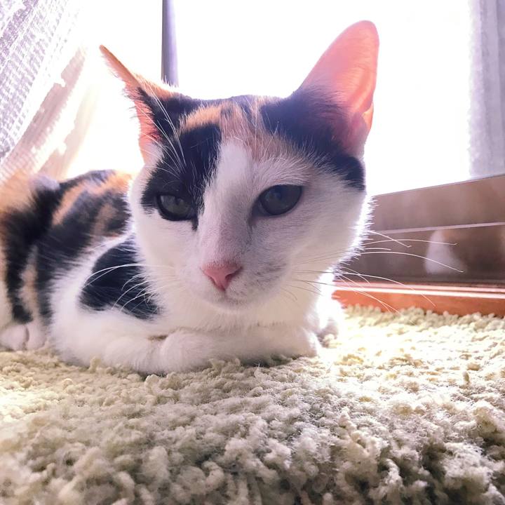 0488fe32 f941 486c b6bd 0014e59193d3