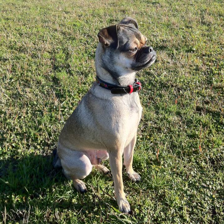 048996af e57d 4cc2 be59 a772cd00bb10