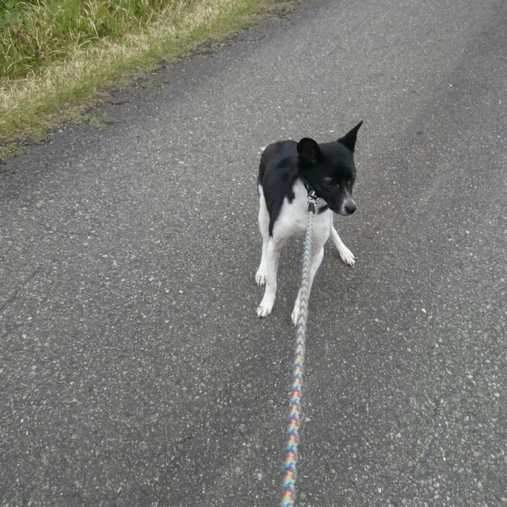 0489c9a9 d976 48ab 8270 4ab867b5fb03