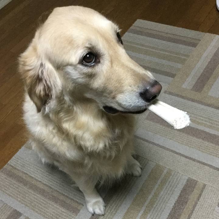 0489caf3 9ca6 494a 832b 0ae8a2ff581e