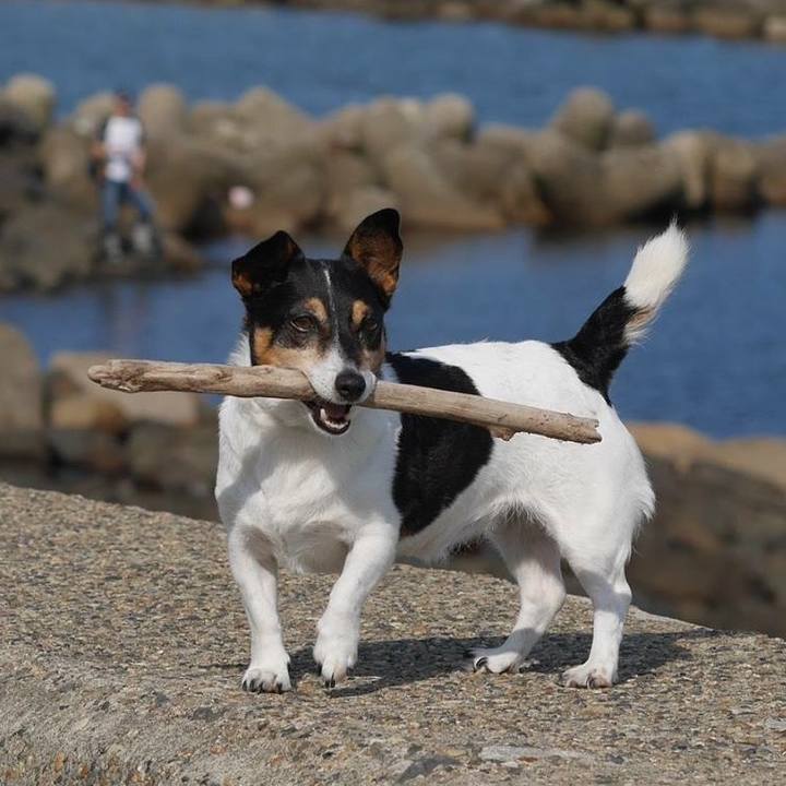 0489d4c0 d4e6 42e6 98c8 a4b3866c459d